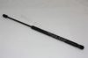 AUTOMEGA 3001320670 Gas Spring, boot-/cargo area